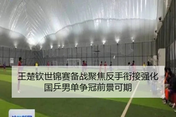 王楚钦世锦赛备战聚焦反手衔接强化 国乒男单争冠前景可期